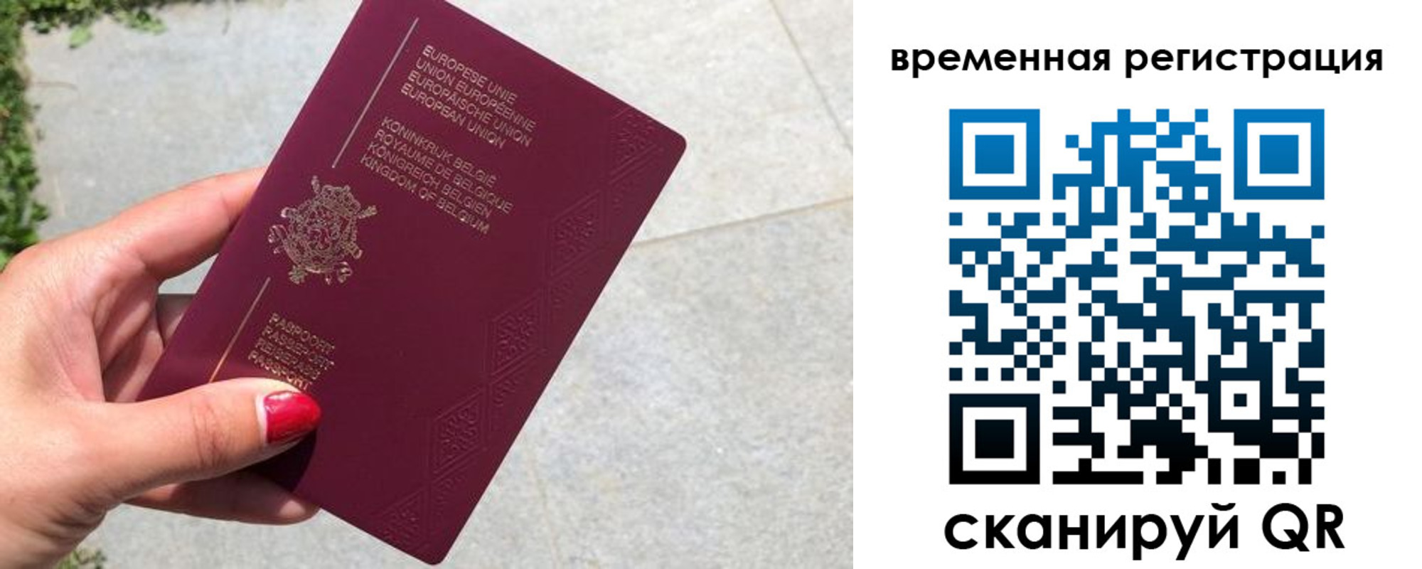 пропишу в квартире в Белгороде
