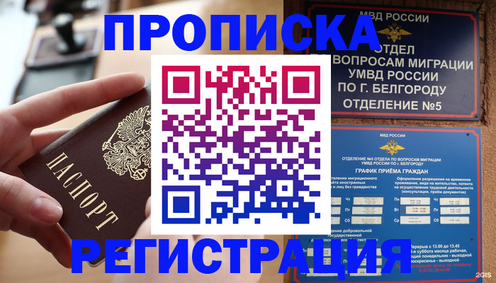 временная регистрация недорого в Белгороде